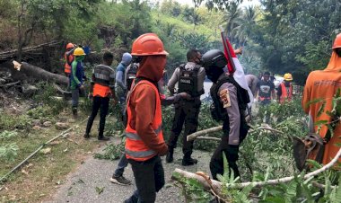 Mantap,-Raimas-Polres-TTU-Bantu-PLN-Bersihkan-Pohon-Tumbang