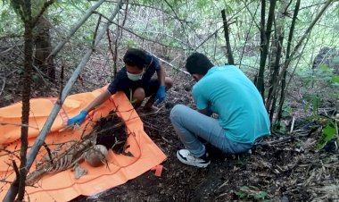 Penemuan-Kerangka-Manusia-di-Manamas,-Polres-TTU-Gelar-Pulbaket