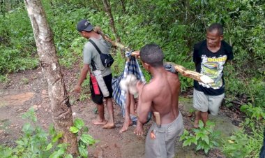 Aksi-Heroik-Anggota-Polsek-Biboki-Selatan-Selamatkan-Warga-yang-Jatuh-dari-Pohon
