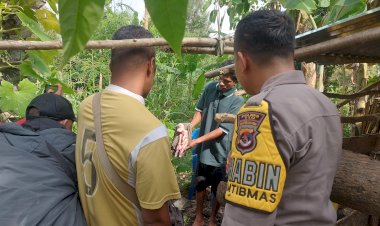 Viral-Kelahiran-Babi-dengan-Kelainan-Genetik,-Bhabinkamtibmas-Desa-Oelami-Imbau-Masyarakat-Tidak-Sebarkan-Hoax.