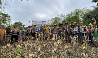 Polres-TTU- Gelar-Panen-Raya-Jagung-Serentak-Kuartal-II-di-Desa-Usapinonot,-Presiden-Prabowo-Buka-Secara-Virtual