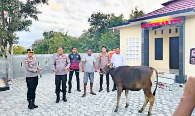 Menebar-Keikhlasan,-Merajut-Kepedulian:-Kapolres-TTU-Pimpin-Langsung-Penyerahan-Hewan-Kurban-untuk-Personel-dan-Masyarakat