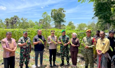 Air-Sumur-Bor-Bantuan-Kapolda-NTT-Mengalir,-Warga-Dusun-Beba-Panen-Hasil-Tanaman-Secara-Simbolis