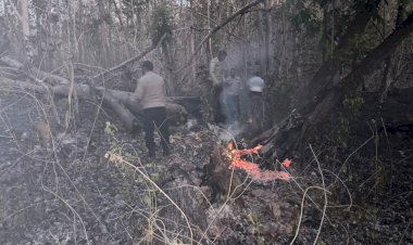 Respons-Cepat-Polsek-Noemuti-Padamkan-Kebakaran-Hutan,-Kapolsek-Noemuti-Pimpin-Langsung-Pemadaman-Sisa-Kebakaran-Hutan-Oeluan
