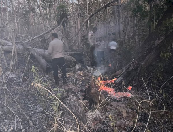 Respons Cepat Polsek Noemuti Padamkan Kebakaran Hutan, Kapolsek Noemuti Pimpin Langsung Pemadaman Sisa Kebakaran Hutan Oeluan