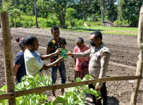 Sat Binmas Polres TTU Beri Bibit Sayur Untuk Petani