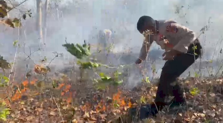 Sinergitas Anggota Polres TTU dan BPBD Padamkan Kebakaran Hutan di Desa Seo