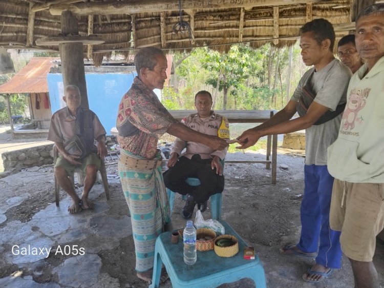 Bhabinkamtibmas Tubuhue Terapkan Restorative Justice: Selesaikan Kasus Sapi Liar Rusak Tanaman Warga Papin