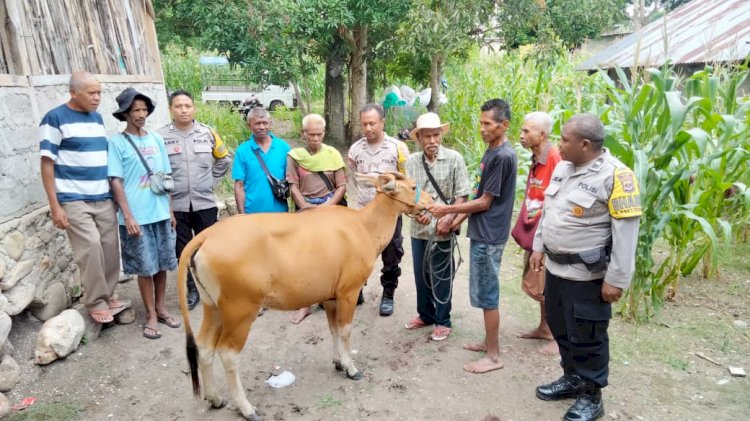Sinergi Bhabinkamtibmas dan Warga Berhasil Ungkap Kasus Pencurian Ternak di TTU