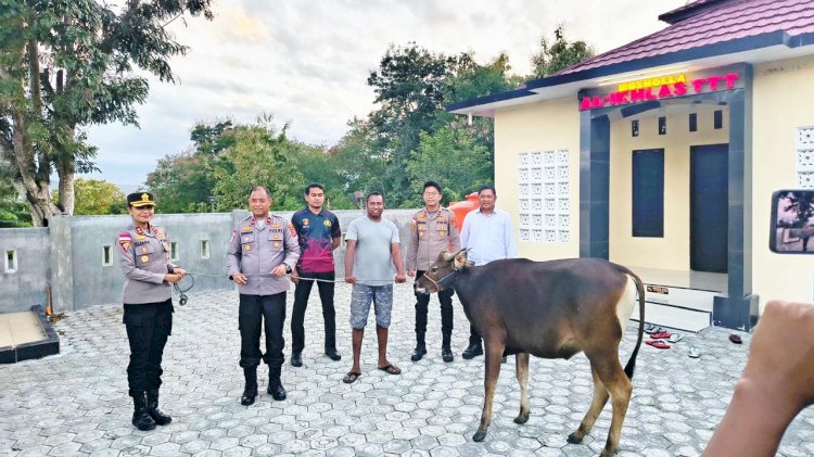 Menebar Keikhlasan, Merajut Kepedulian: Kapolres TTU Pimpin Langsung Penyerahan Hewan Kurban untuk Personel dan Masyarakat