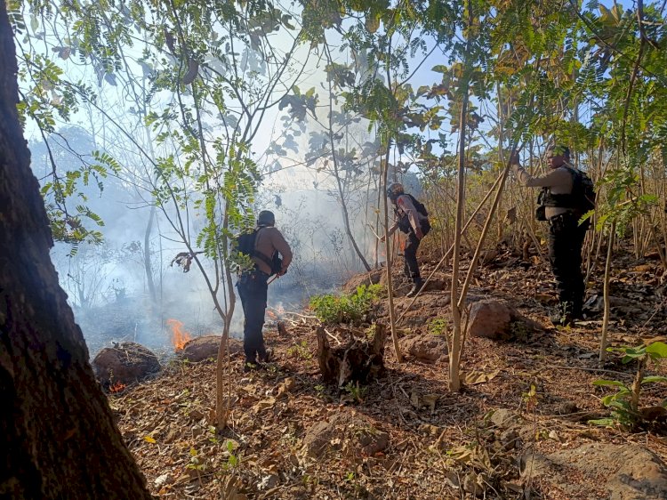 Polres TTU Sigap Tangani Karhutla di Kawasan Hutan Keun, Personel Raimas dan Polsek Insana Bergerak Cepat Padamkan Api