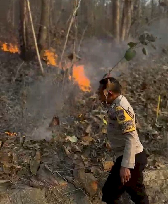 Gerak Cepat Polsek Miomaffo Barat Padamkan Kebakaran Hutan di Desa Haulasi, Seluas 2 Hektare Terdampak