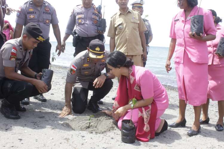 Cegah Abrasi, Polres TTU dan Bhayangkari Tanam Mangrove di Pantai Wini